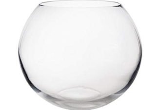 Fish-Bowl-Vase