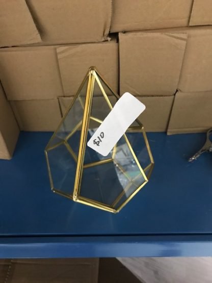 Glass Geometric Box Terrarium 5