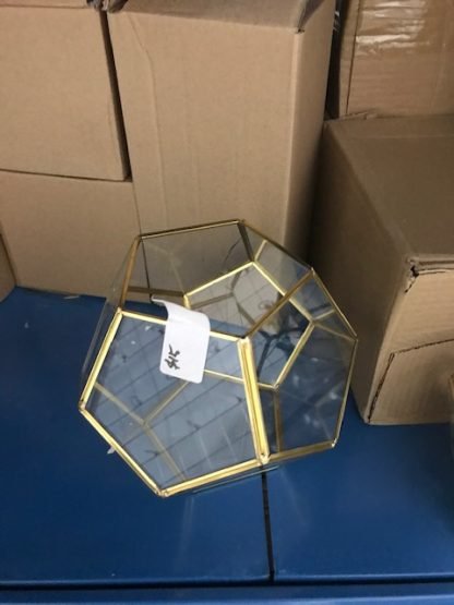 Glass Geometric Box Terrarium 6