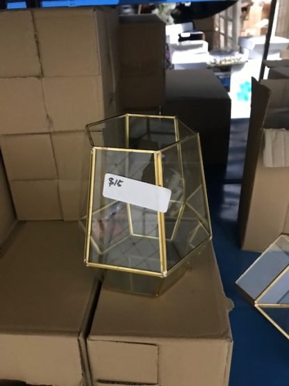 Glass Geometric Box Terrarium 8