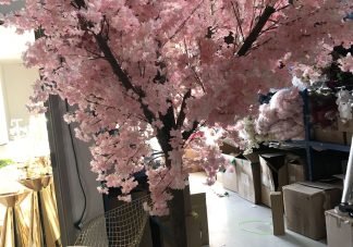 Cherry Blossom Tree Pink