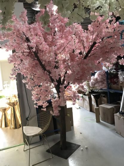 Cherry Blossom Tree Pink