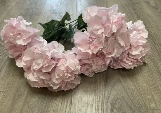 hydrangea baby pink