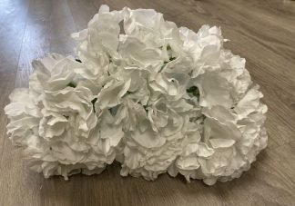 hydrangea off white