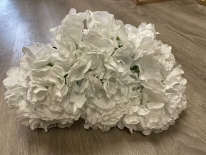 hydrangea off white