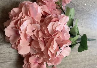 hydrangea pink