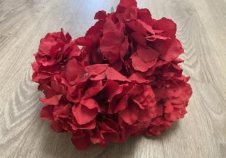 hydrangea red