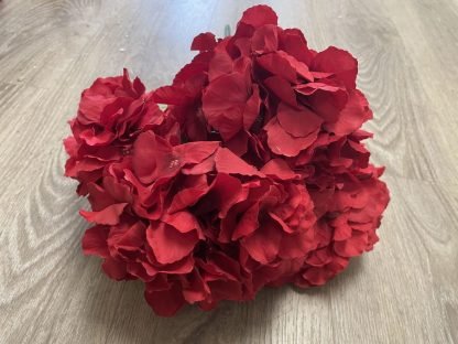 hydrangea red