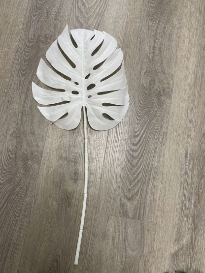 palm leaf white