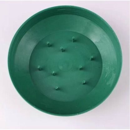 round flower foam plate