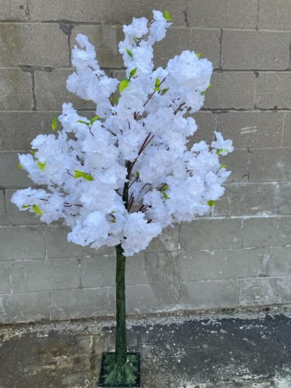 white cherry blossom tree