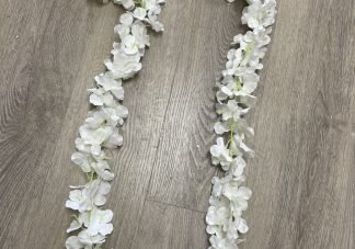 wisteria vine white