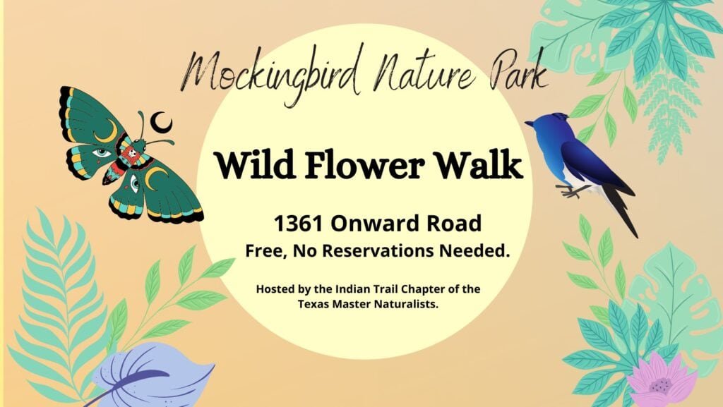 wildflower walk mockingbird park poster