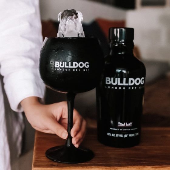 21 April: International Bulldog Day with The Kongsee and Bulldog Gin