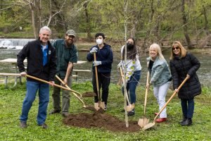 TEDI Tree Planting