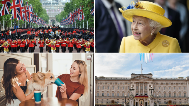 Composite image of Trooping the Colour, the Queen, a corgi cafe, and Buckingham Palace