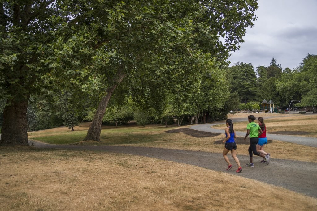 Three women jog on a gravel trail.